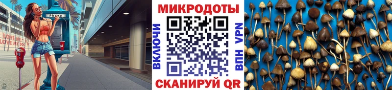 Купить где  Белоусово  Псилоцибиновые грибы ЛСД 